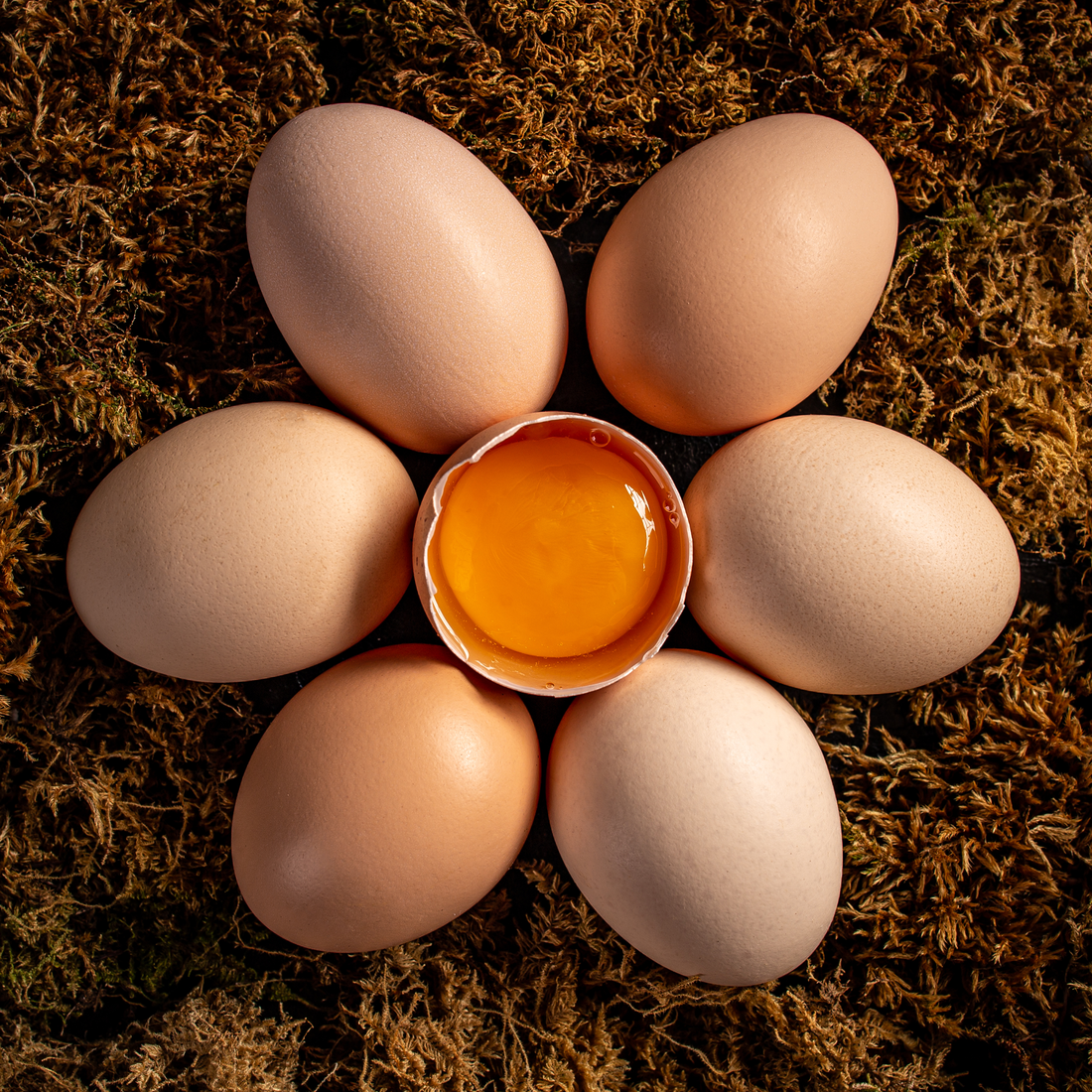 Eggs, eggs, eggs