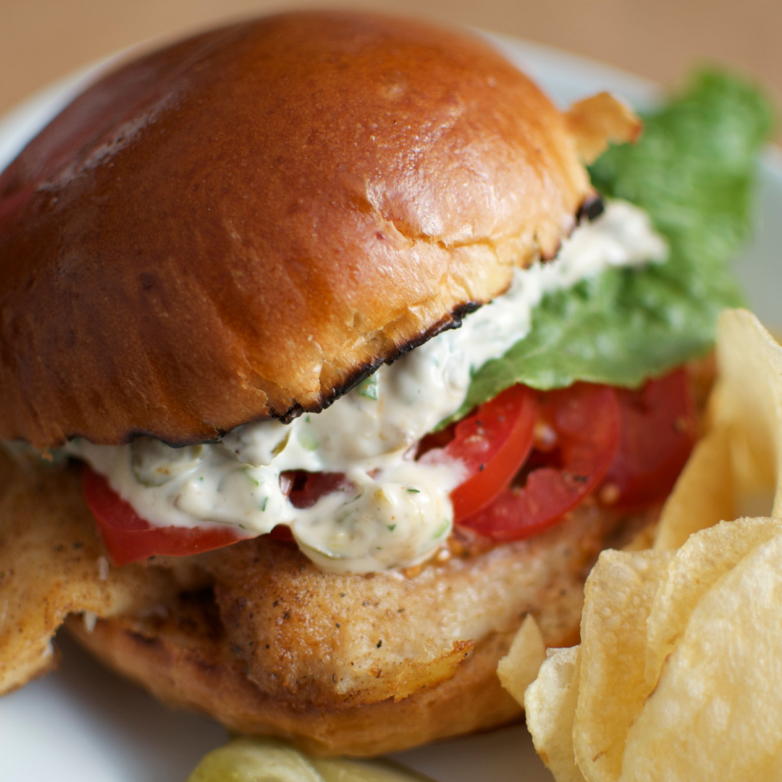 Jerk Tuna Burgers