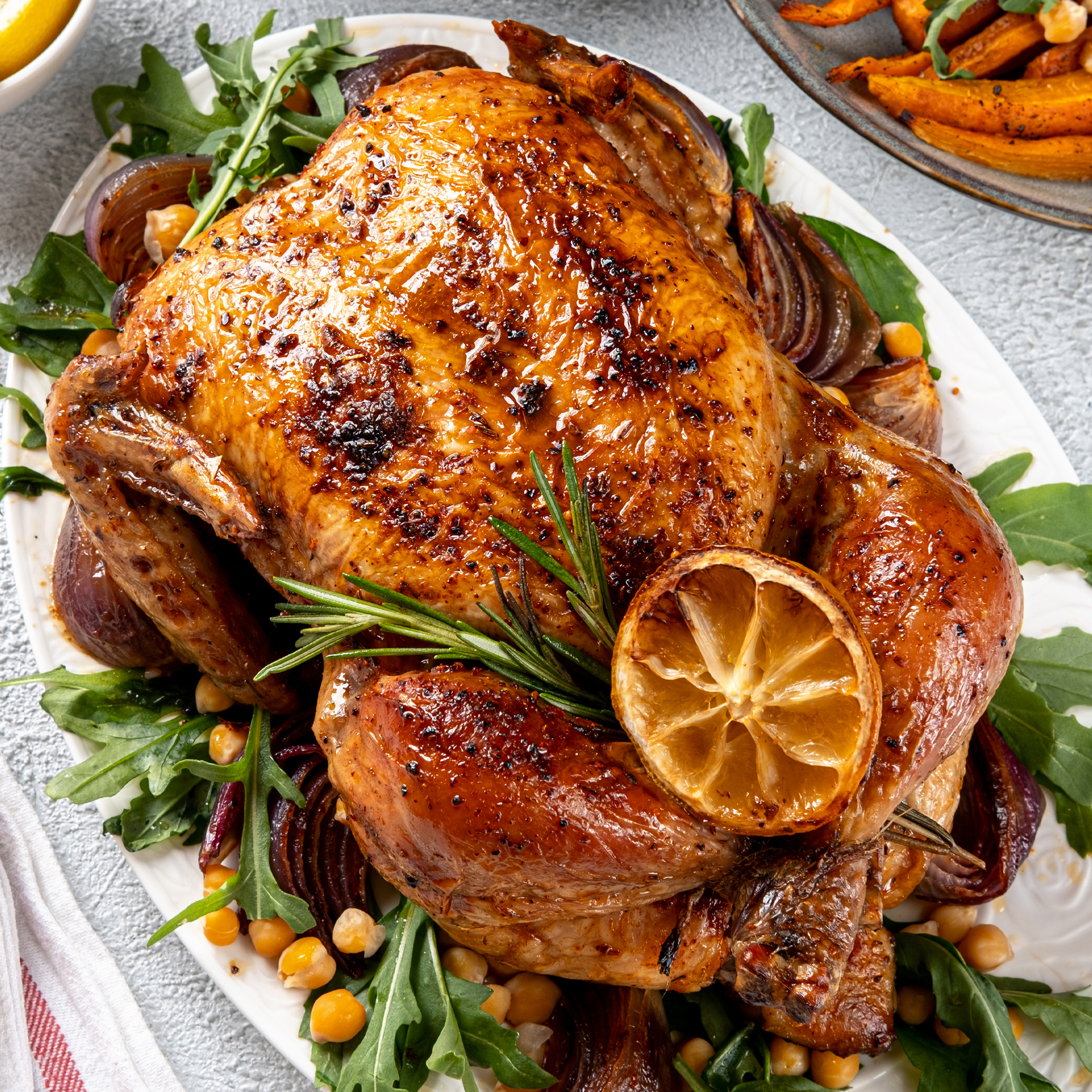 Painless Turkey - 101