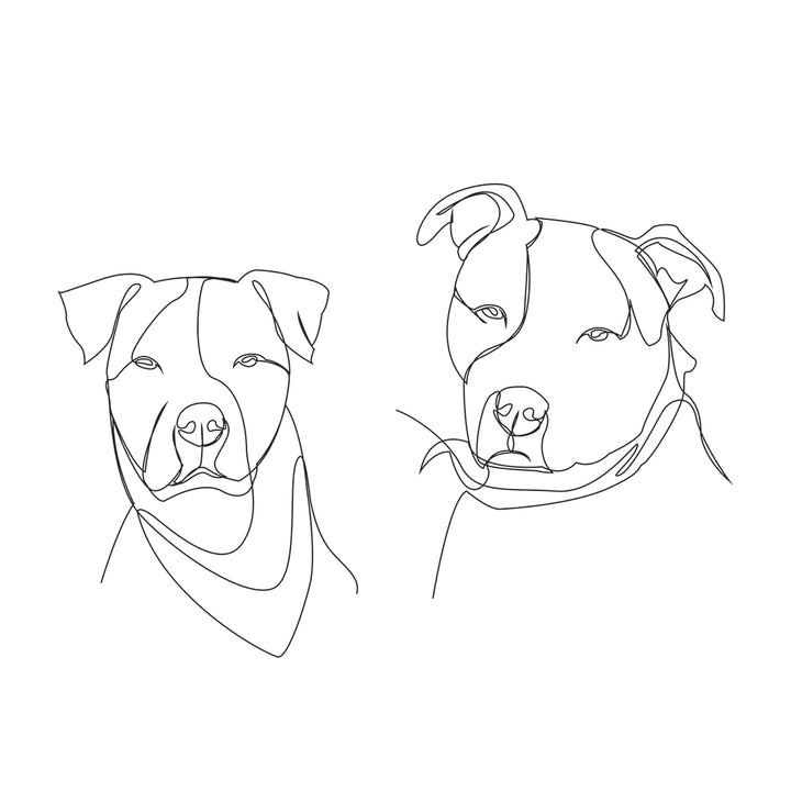 dog illustration